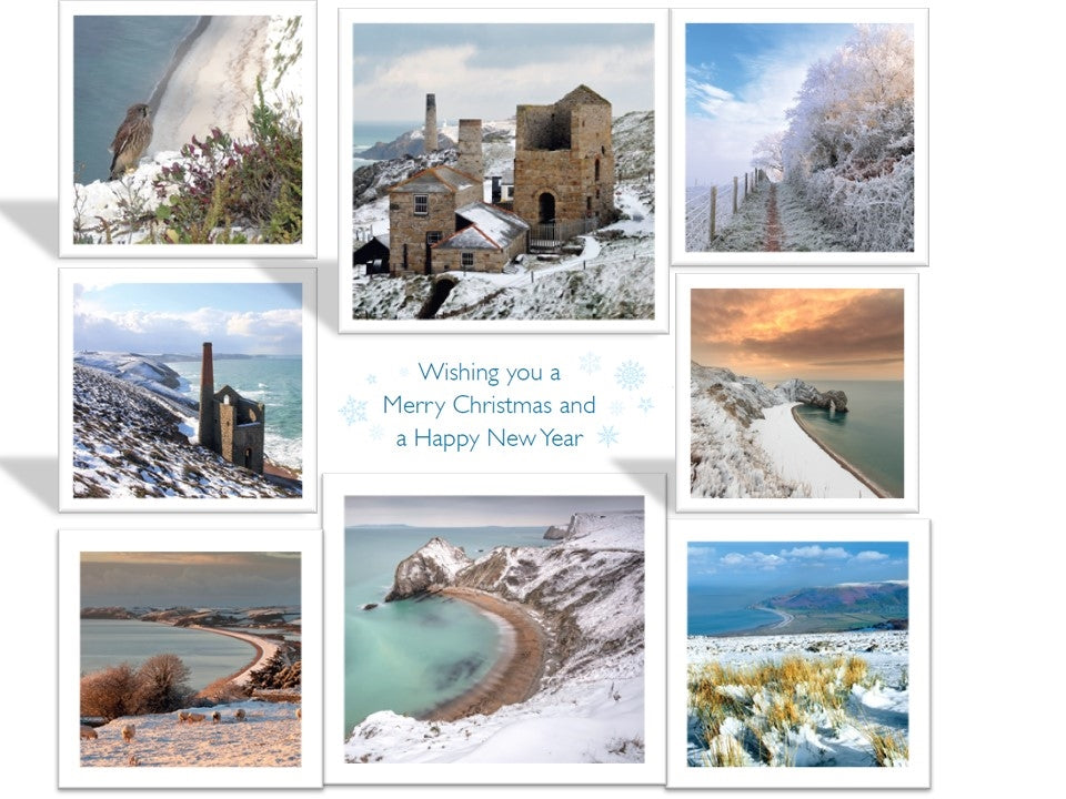 Winter Scene Multi Photo Holiday Cards