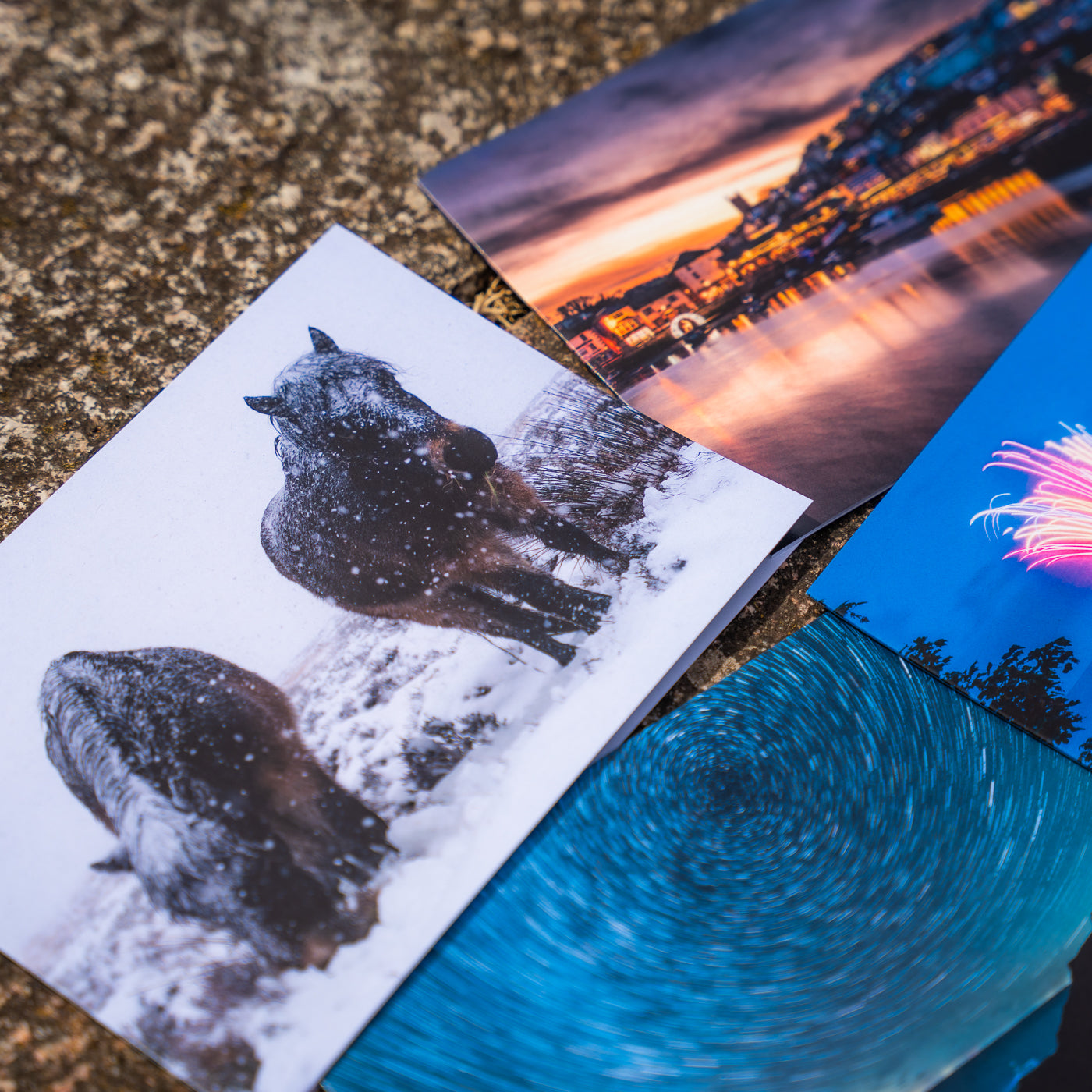 Photo Christmas Cards  8-pack NEW DESIGN