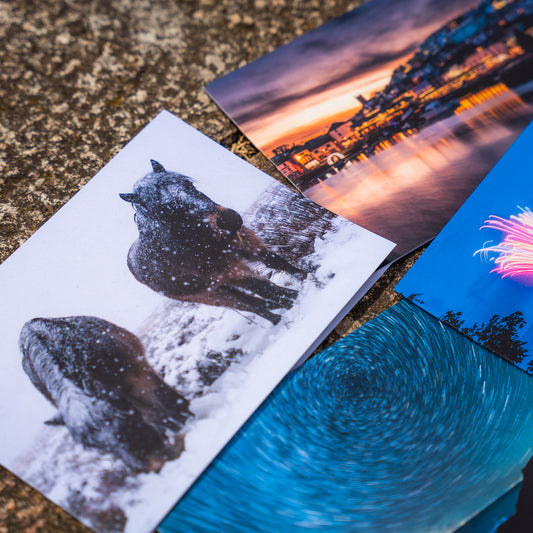 Photo Christmas Cards  8-pack NEW DESIGN